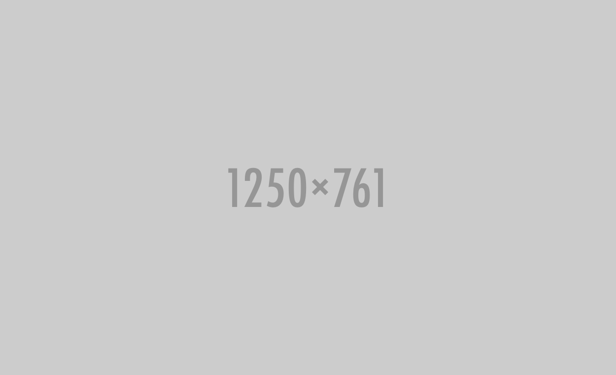 1250x761