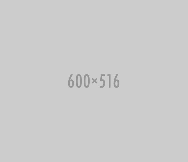 600x516