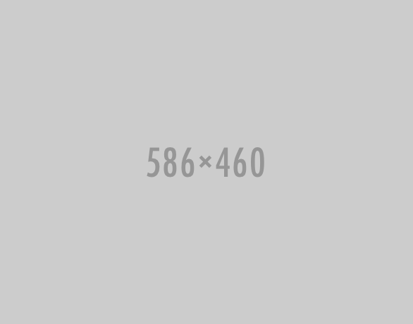 586x460