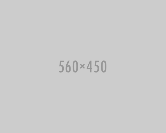 560x450